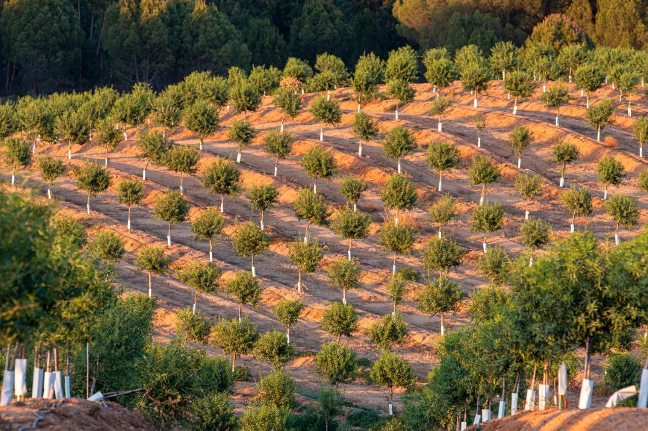 Séjour à la campagne Casa Jardas Idanha-a-Nova