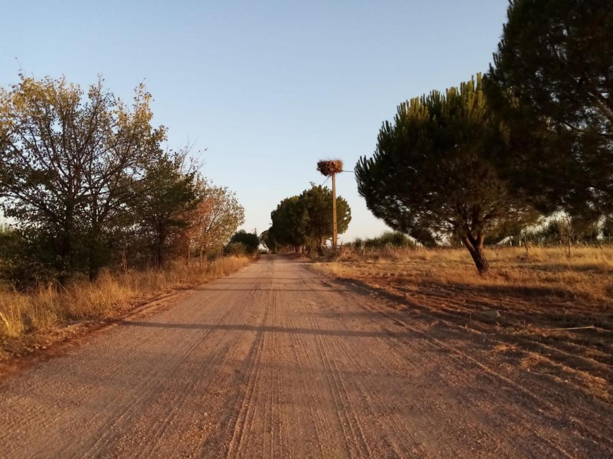 Séjour à la campagne Casa Jardas *