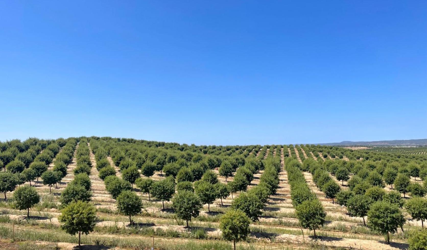 Séjour à la campagne Casa Jardas